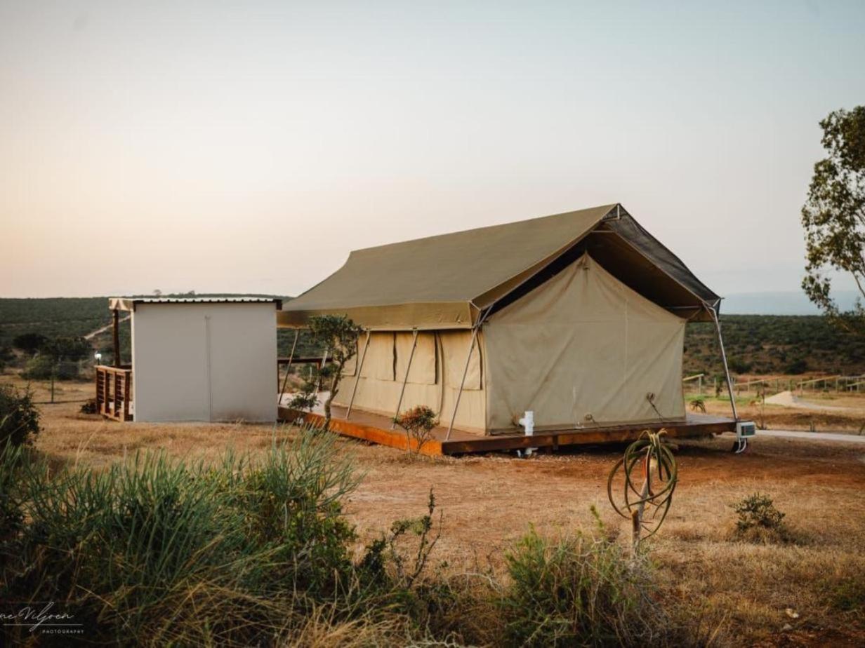 Longhill Reserve Addo Room photo