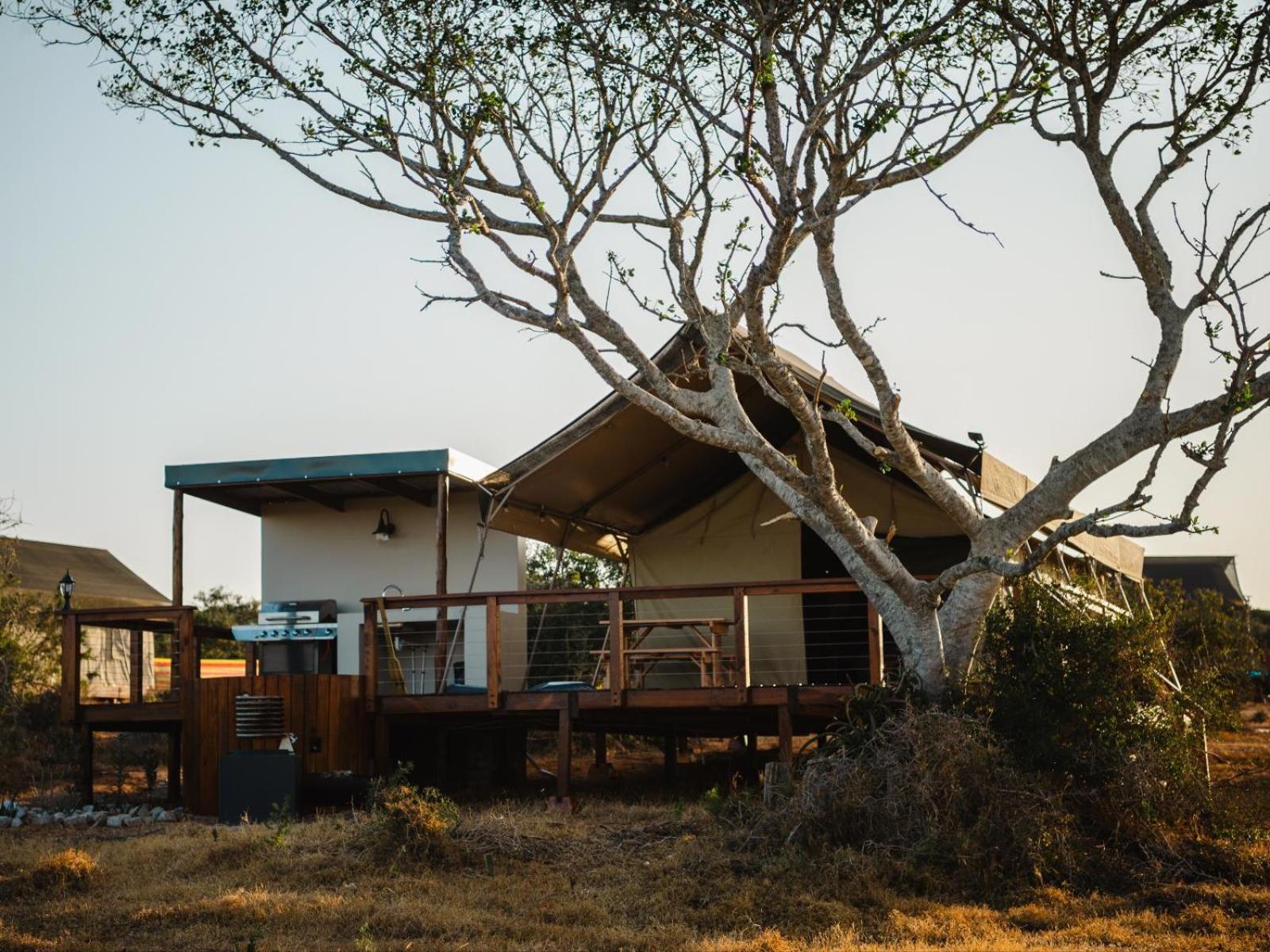 Longhill Reserve Addo Exterior photo