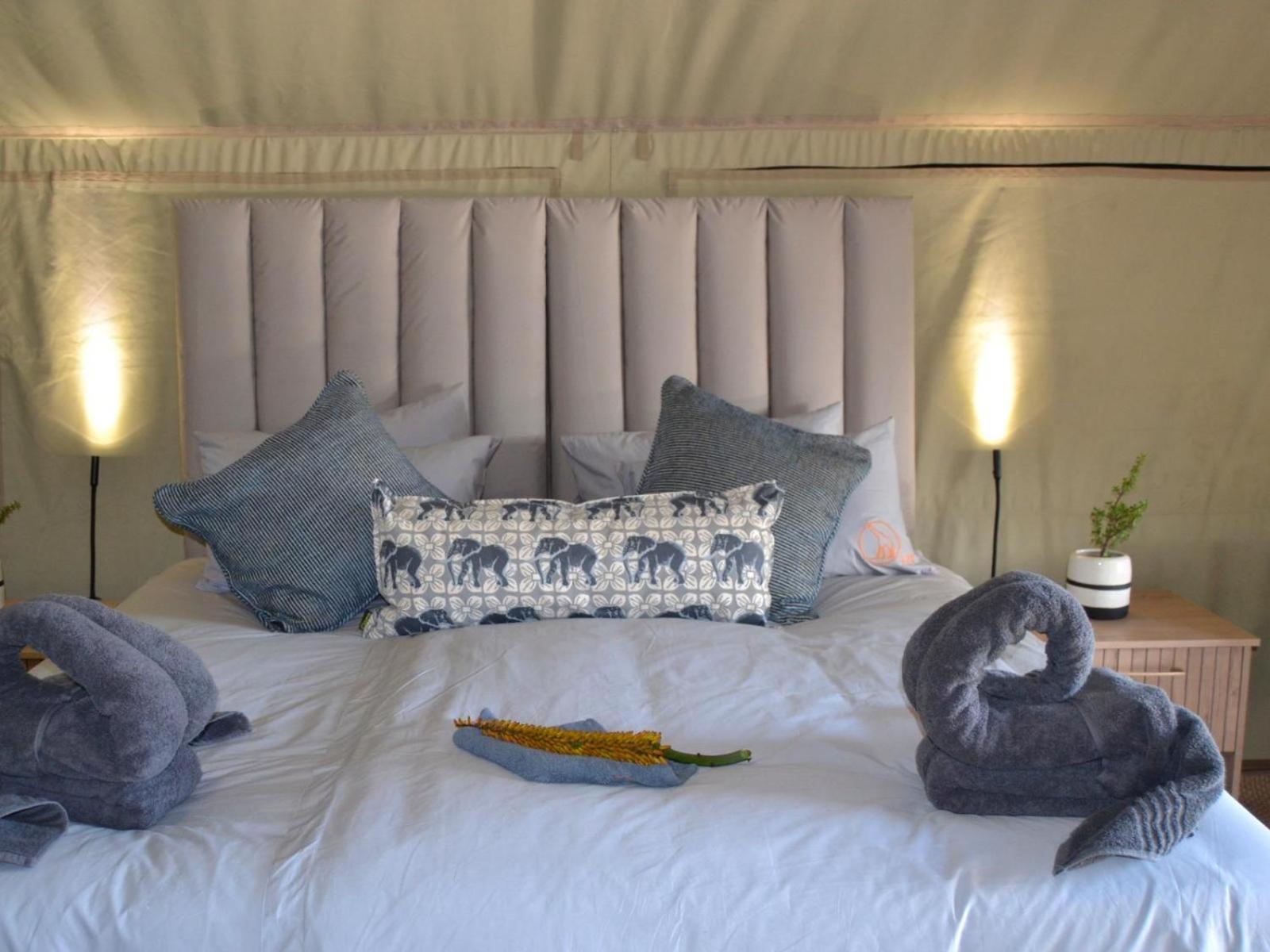 Longhill Reserve Addo Room photo